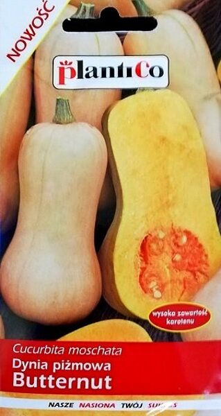 Ķirbji sviesta Butternut 2g. Ķirbju sēklas. 