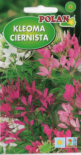 Kleome dzeloņainā. 1g