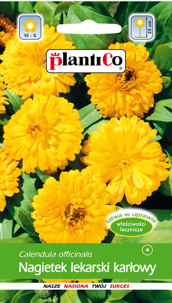 Kliņģerītes ārstnieciskās zemās dzeltenas. 2g