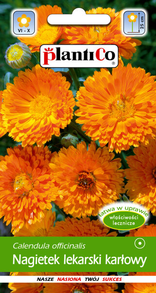 Kliņģerītes ārstnieciskās zemās oranžas. 2g