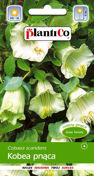 Kobejas baltas. 0,5g