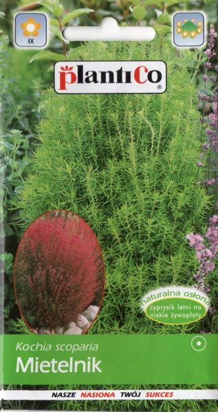 Kohija slotiņu augstā. 2g