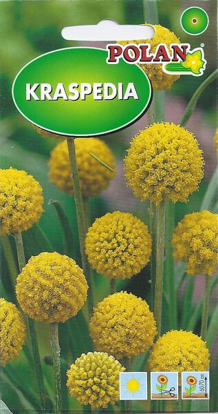 Kraspēdijas lodveida dzeltenās. 0,1g