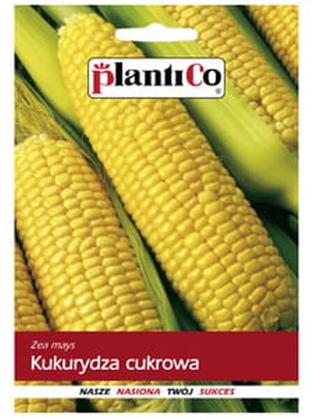 Kukurūza saldā Golden Bantam 10g. Saldās kukurūzas sēklas. 