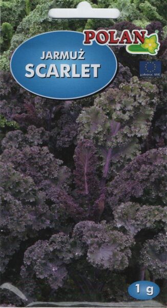 Lapu kāposti (keili) Scarlet sarkanie 1g. Keilu sēklas.