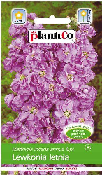 Lefkojas vasaras violetas Rena Vars. 0.5g