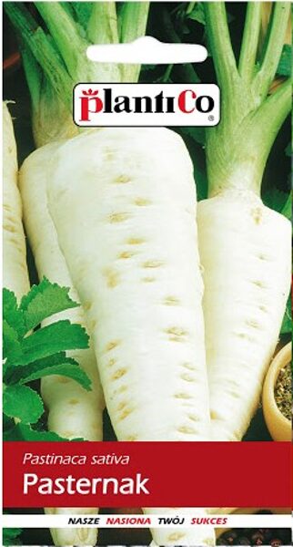 Pastinaki Lech 5g. Pastinaka sēkas.