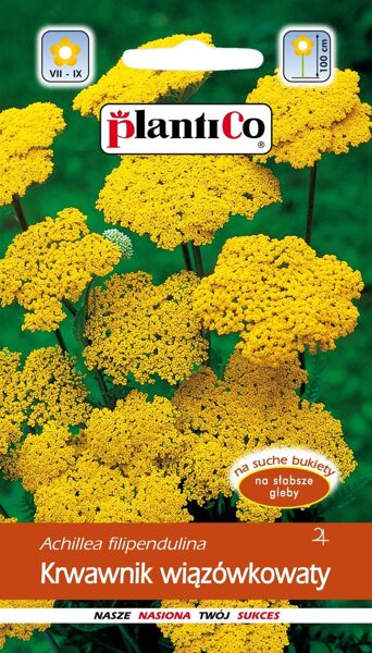 Pelašķis vīgriežu dzeltens. 0.3g