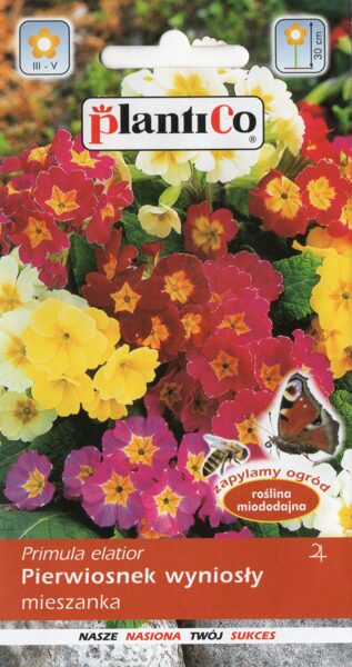 Prīmulas Eirāzijas. 0.2g