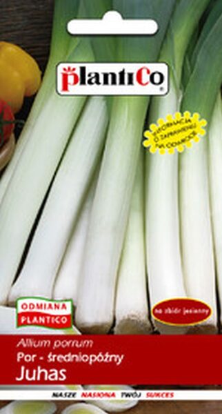 Puravi Juhas 1g. Puravu sēklas.