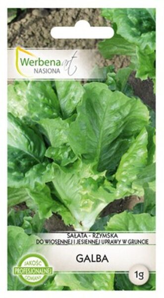 Salāti romiešu Galba 1g. Salātu sēklas.