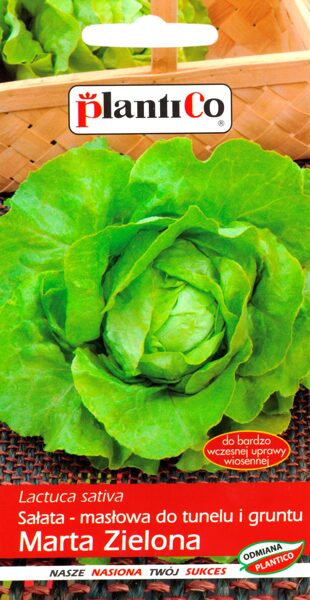 Salāti Marta sviesta 1g. Sviesta salātu sēklas.