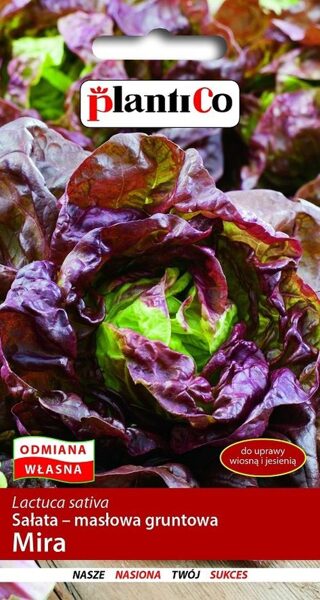 Salāti sviesta galviņsalāti Mira 1g. Salātu sēklas.