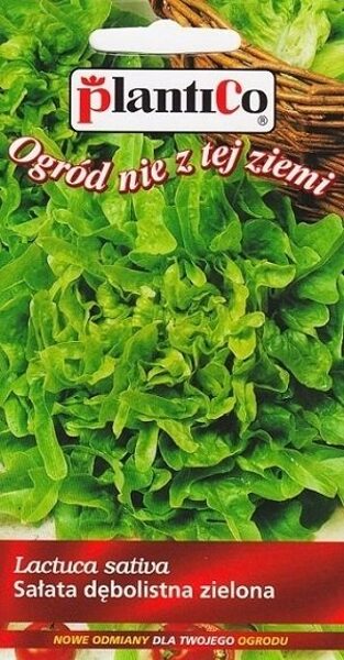 Salāti lapu Dubaček 0,5g. Salātu sēklas.