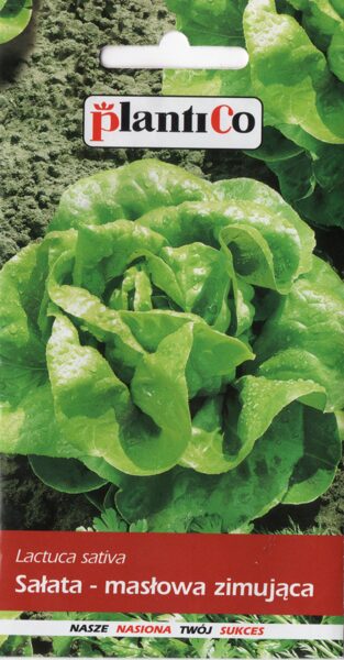 Salāti ziemas Zina 1g. Salātu sēklas.