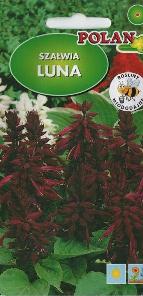 Salvijas spilgtās Luna. 0.5g