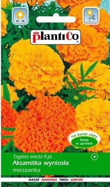 Samtenes lielziedu augstās mix. 1g