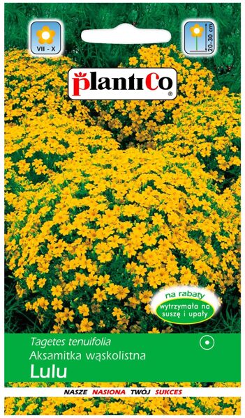 Samtenes šaurlapu sīkziedu dzeltenas. 0.5g