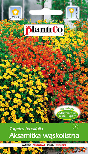 Samtenes šaurlapu sīkziedu mix. 0.5 g