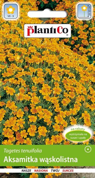 Samtenes šaurlapu sīkziedu oranžas. 0.5g