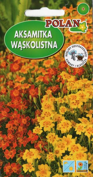 Samtenes šaurlapu, sīkziedu Talizman mix. 0.5g 