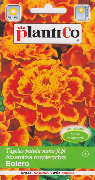 Samtenes zemās Bolero. 1g