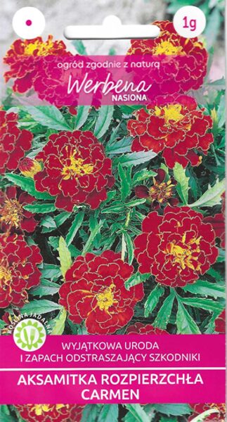 Samtenes zemās Carmen. 1g 