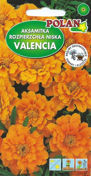 Samtenes zemās Valencia. 1g