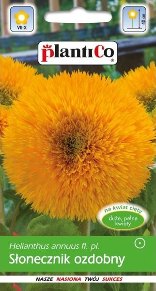 Saulespuķes zemās pildītas. 2g