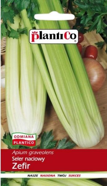 Selerijas kātu Zefir 1g. Kātu selerijas sēklas. 