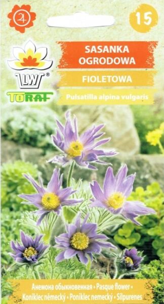 Silpurenes Alpu zilas. 0.3g