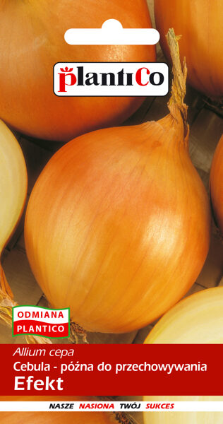 Sīpoli Efekt 5g. Sīpolu sēklas.