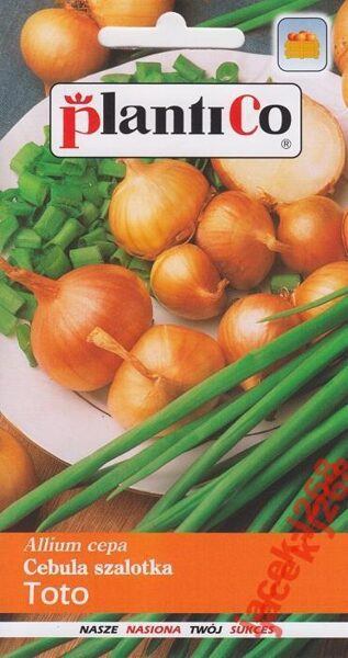 Sīpoli šalotes Toto 1g. Šalotes sīpolu sēklas.
