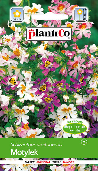 Šizantes Visetona. Taureņu puķes. 1g