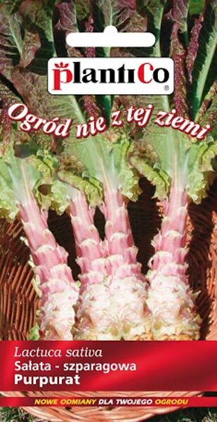 Sparģeļsalāti Purpurat 0,5g. Sparģeļsalātu sēklas.