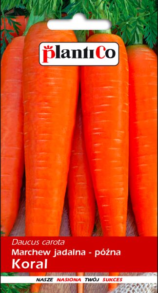 Burkāni vēlie Koral 5g. Burkānu sēklas.