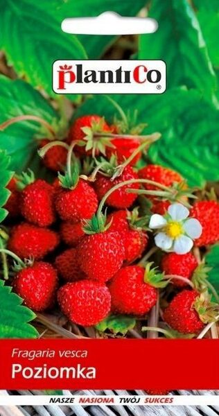 Zemenes Baron von Solenmacher 0,2g. Zemeņu sēklas.