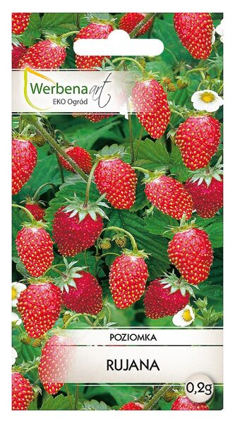 Zemenes Rujana 0,2g. Zemeņu sēklas.