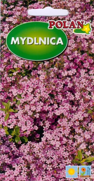 Ziepjusakne bazilika. 1g